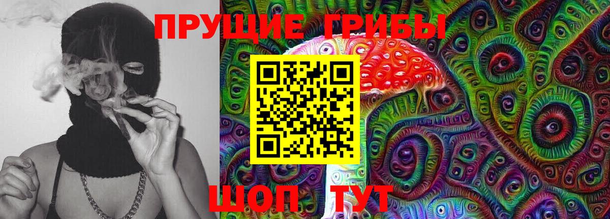 Галлюциногенные грибы Cubensis Горячий Ключ