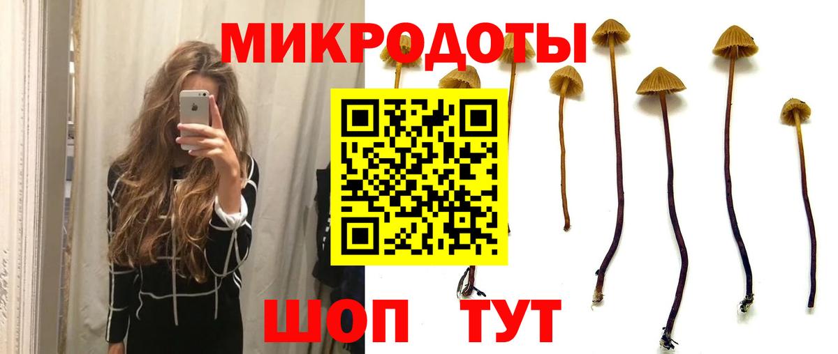 Псилоцибиновые грибы прущие грибы  Вход с VPN  Горячий Ключ 
